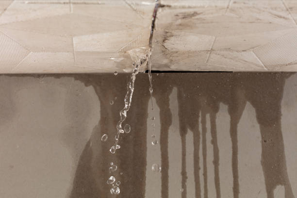Professional Structural Drying technician working in Chatfield, TX